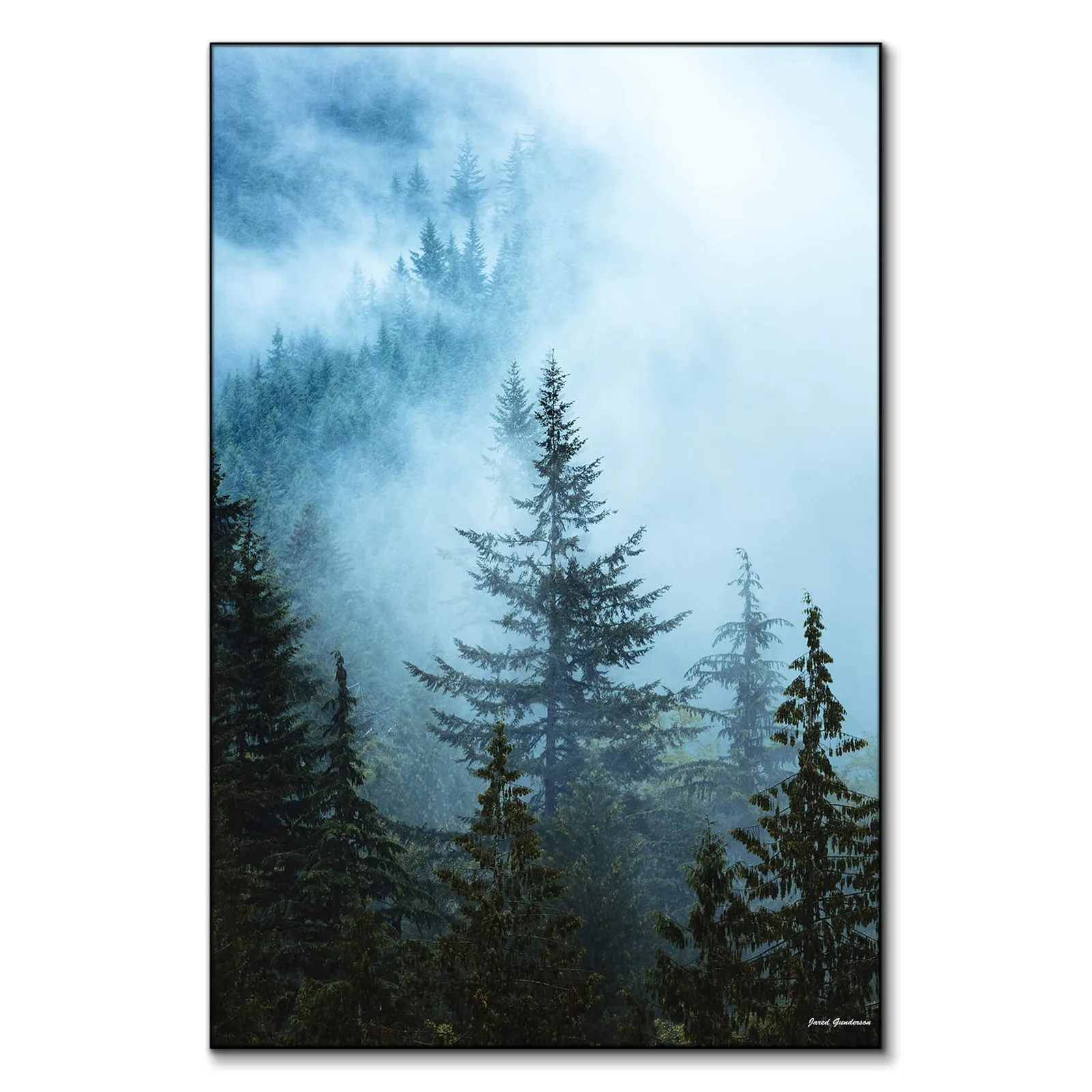 Hazy Treetops — view 2