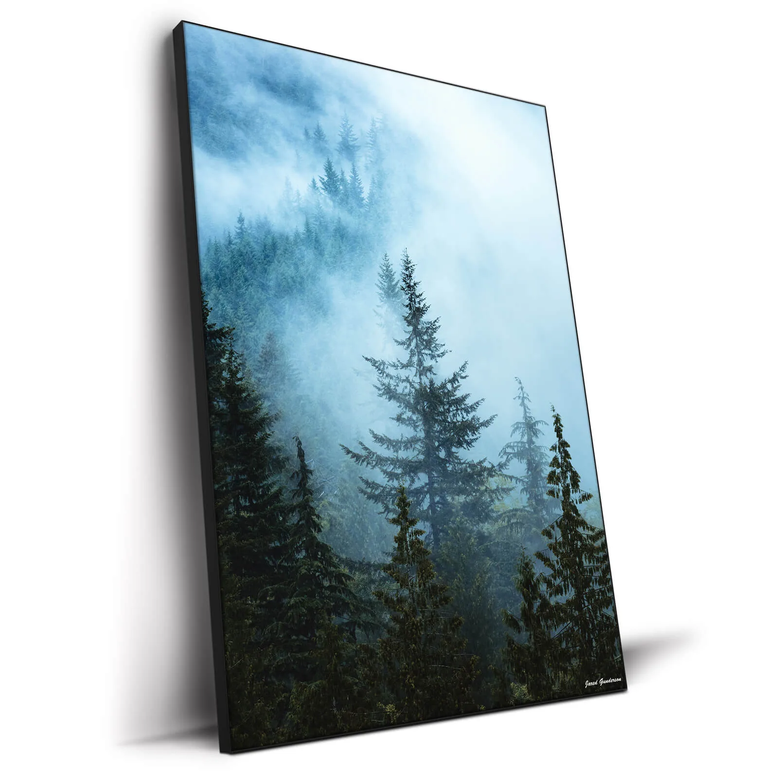 Hazy Treetops — view 3