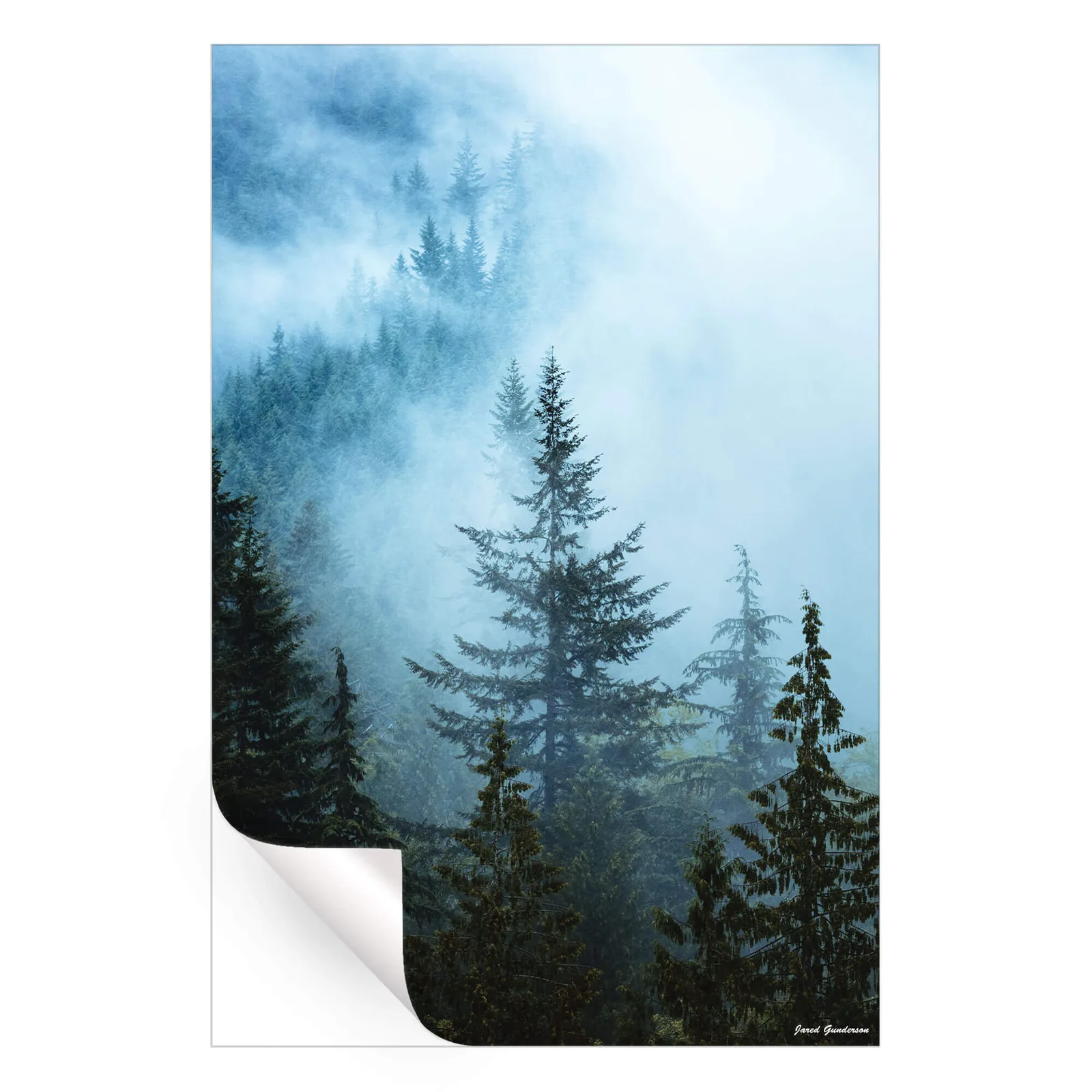 Hazy Treetops — view 4