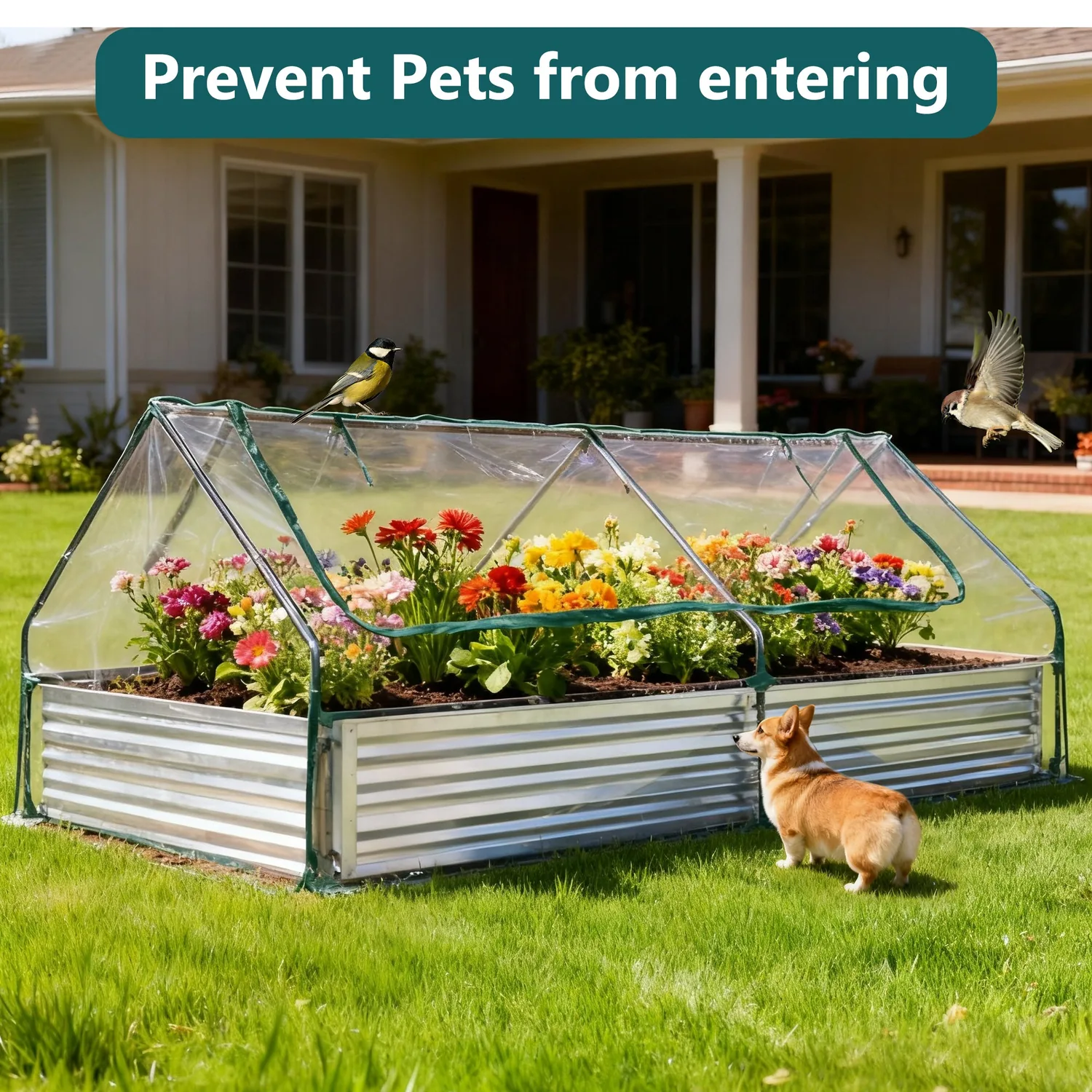 Sweetcrispy Mini Greenhouse Raised Garden Bed with Dual Roll-Up Windows — view 2